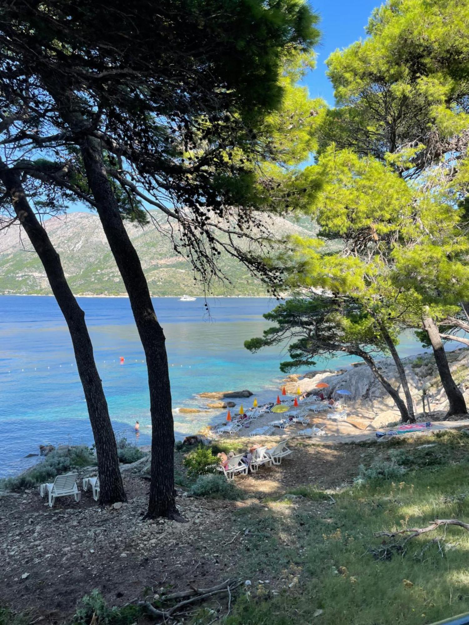 Family Ambient Apartment Cavtat Eksteriør billede
